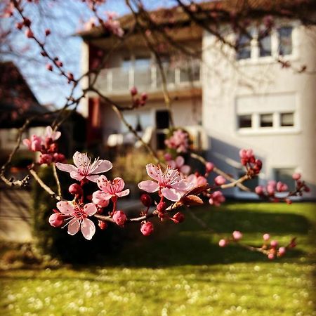 Ferienwohnung Im Aalbachtal - Uettingen Bei Wuerzburg エクステリア 写真