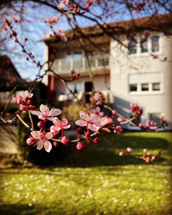 Ferienwohnung Im Aalbachtal - Uettingen Bei Wuerzburg エクステリア 写真