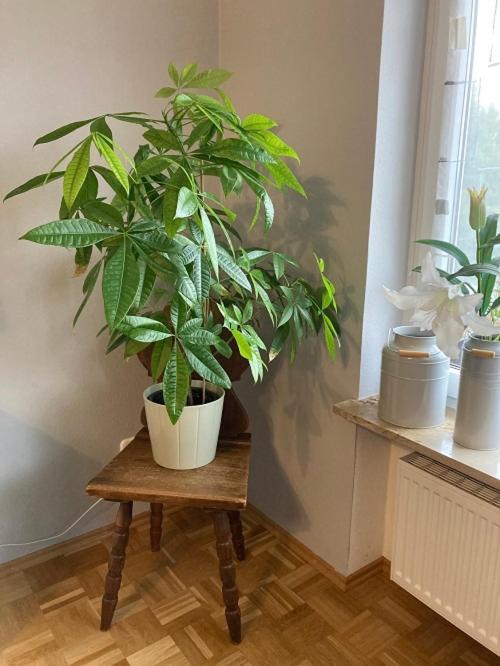 Ferienwohnung Im Aalbachtal - Uettingen Bei Wuerzburg エクステリア 写真